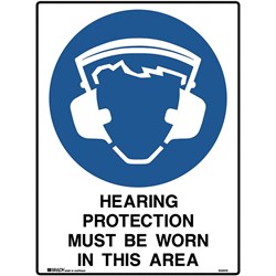 Brady Mandatory Sign Hearing And Eye Protection 450W x 600mmH Poly White/Blue