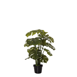 Monstera PlantGarden Pot 66cm Green