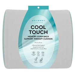 Affiniti Cool Touch Memory Foam Back Pillow