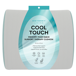 Affiniti Cool Touch Memory Foam Back Pillow