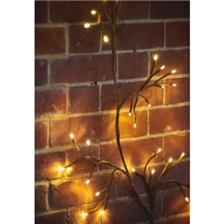 Lumina Solar & Mains Ivy Lights