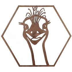 Straya Art Emu Stare Hexagon Wall Art - 30cm