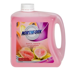 Northfork Liquid Hand Wash Guava Papaya And Cucumber 2 Litre