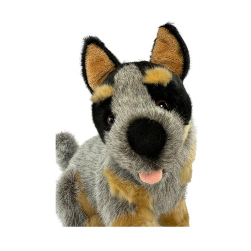 Bluey_D6_1000x1780222538