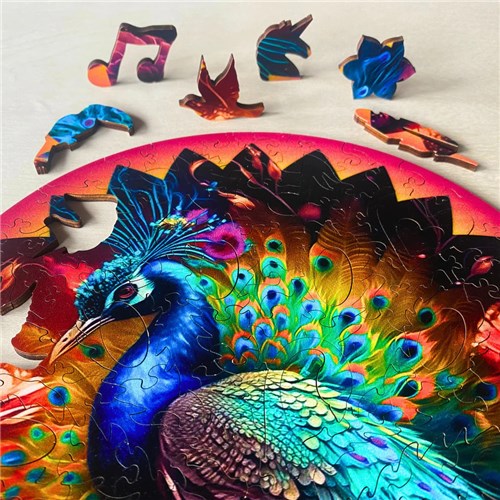 Untitled_design_-_2025-05-14T112614.6531764410520