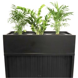 Planters & Divider Boxes